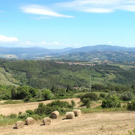 Talpa-20 By Interhome Apartment Riparbella