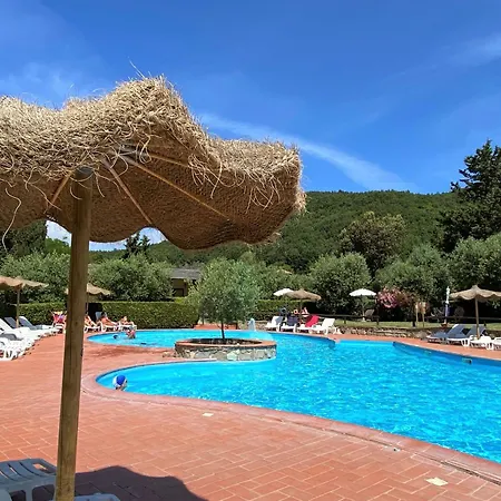 Talpa-20 By Interhome Apartment Riparbella